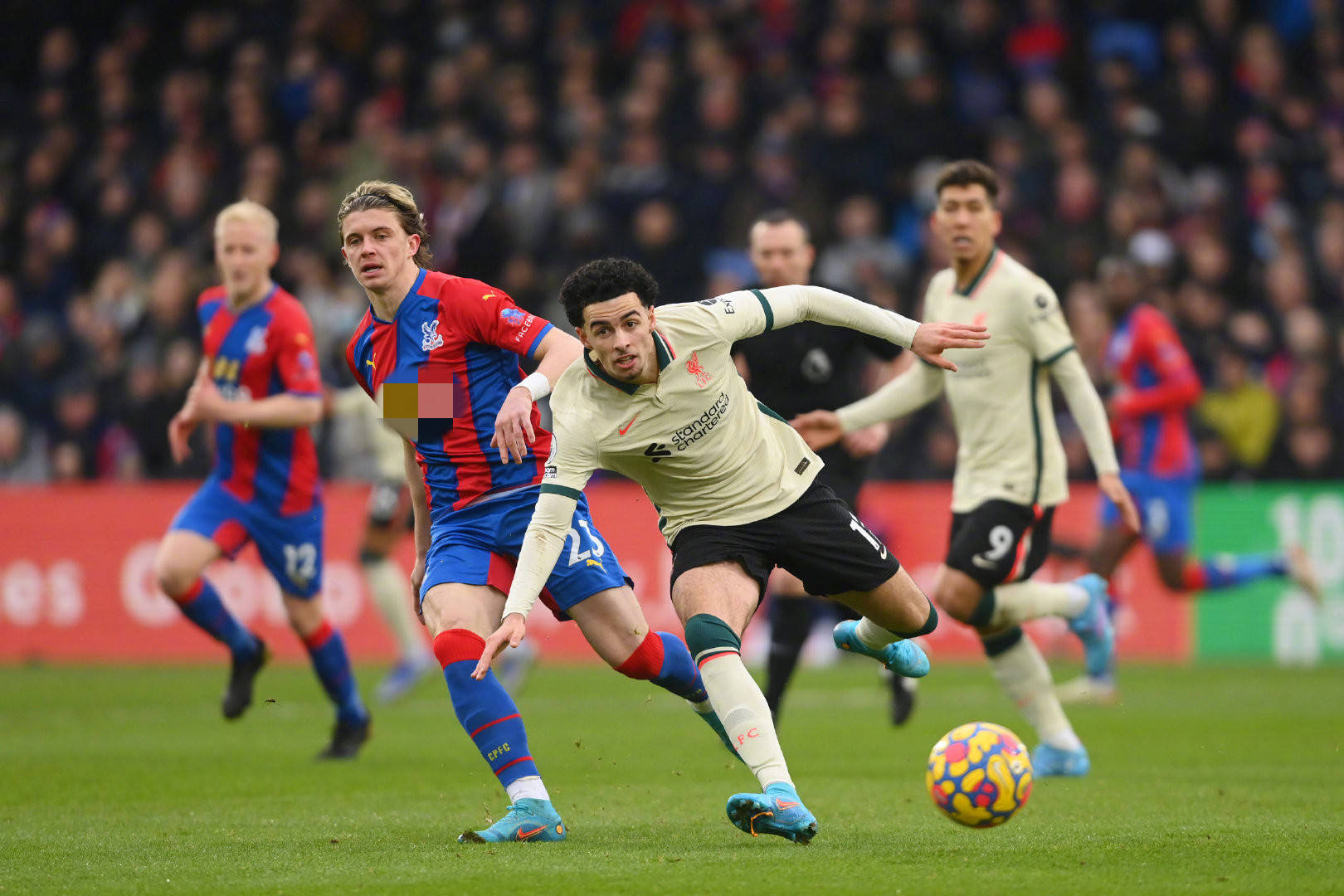 教练员的去 教练员的去